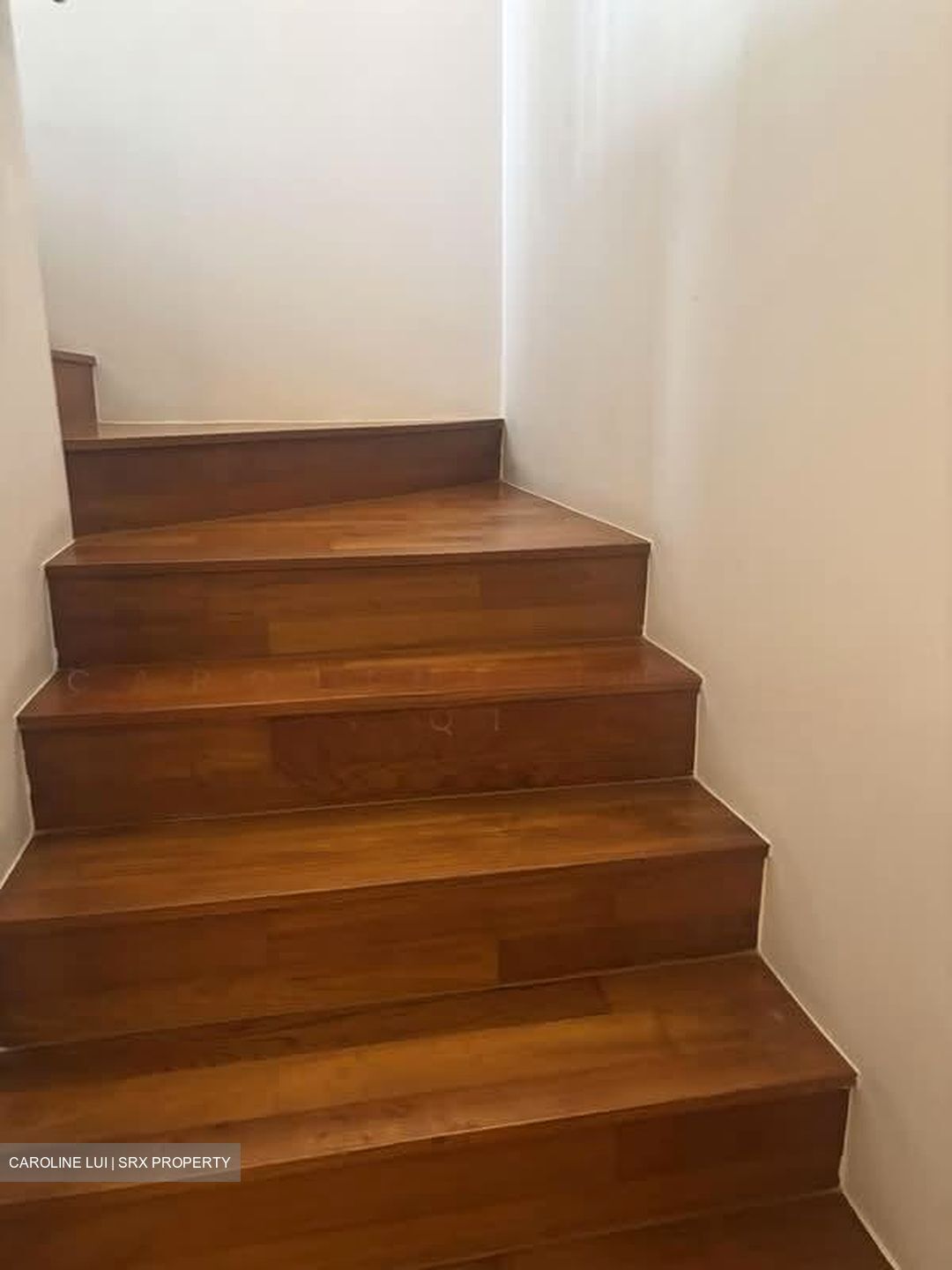 Mon Jervois (D10), Condominium #593047961